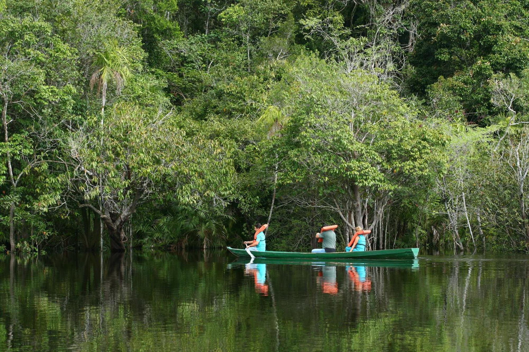 アマゾン エコパーク ジャングル ロッジ マナウス エクステリア 写真
